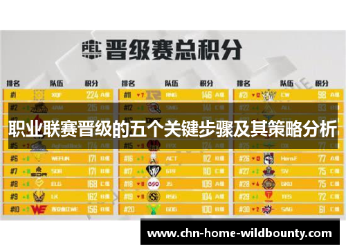 职业联赛晋级的五个关键步骤及其策略分析