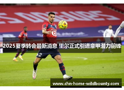2025夏季转会最新消息 里尔正式引进意甲潜力前锋 2025夏季转会最新消息 里尔正式引进意甲潜力前锋
